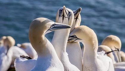 崔永熙回顾詹姆斯中国行：当面要求老詹再战五年 老詹笑着拒绝