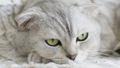 崔永熙回顾詹姆斯中国行：当面要求老詹再战五年 老詹笑着拒绝