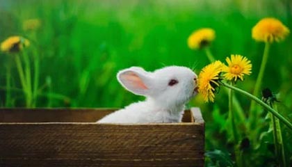 西甲-奥尔莫莱万破门加西亚献神扑 巴萨2-0西班牙人